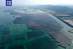 我国首个高风速海域海上光伏项目实现全容量并网‌